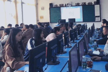 叮当码培训案例